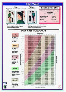 Height / Weight Chart